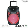 OEM 12 Inches Plastic Trolley Professional Speaker with Battery